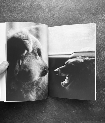 Dogshit Blues - Two Too Many / Book Dogshit Blues - Two Too Many / Book