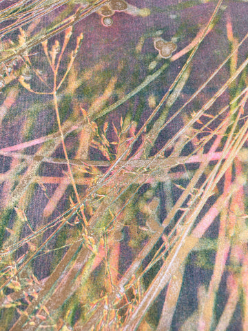 Tresses - Lola Primrose / Riso print Tresses - Lola Primrose / Riso print