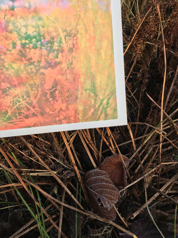 Liberator - Lola Primrose / Riso Print Liberator - Lola Primrose / Riso Print