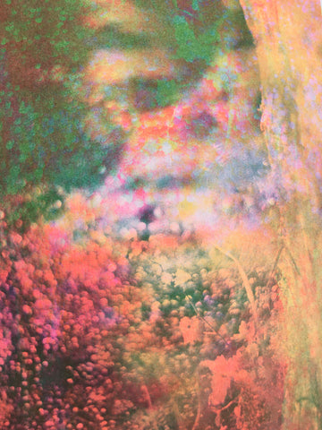 Liberator - Lola Primrose / Riso Print Liberator - Lola Primrose / Riso Print