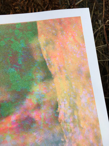 Liberator - Lola Primrose / Riso Print Liberator - Lola Primrose / Riso Print