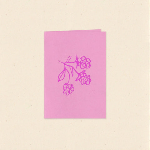 Raspberry - Lou Rowland / Card Raspberry - Lou Rowland / Card