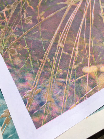 Tresses - Lola Primrose / Riso print Tresses - Lola Primrose / Riso print