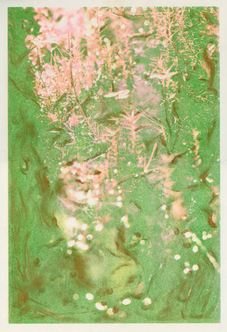 Held - Lola Primrose / Riso print Held - Lola Primrose / Riso print
