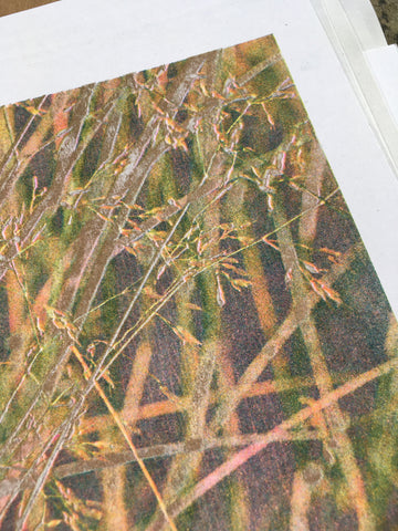 Tresses - Lola Primrose / Riso print Tresses - Lola Primrose / Riso print