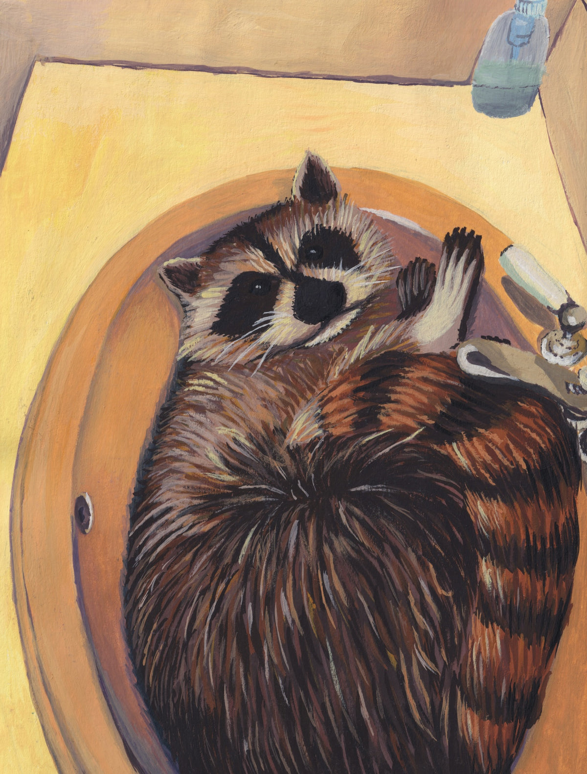Racoon - Ola Gorickaja / Print