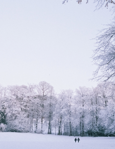 Glasgow’s Winter - Photo Book by Alasdair Watson